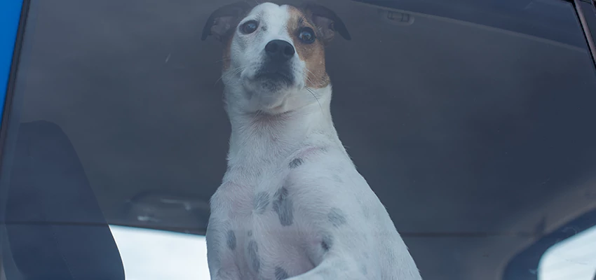 Car Lockout Solutions in Lennox, California